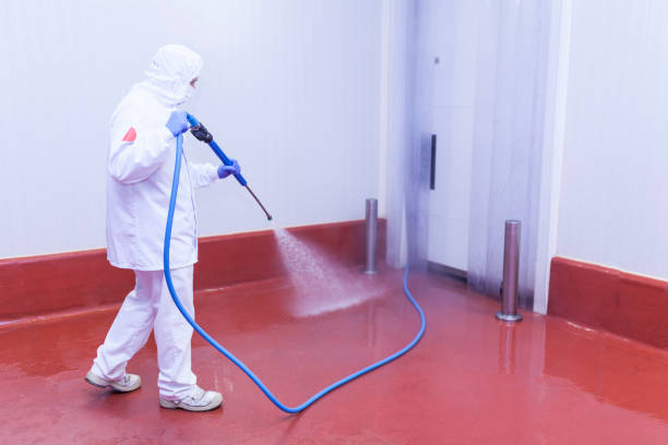 Best Paint Preparation  in Lake Placid, NY